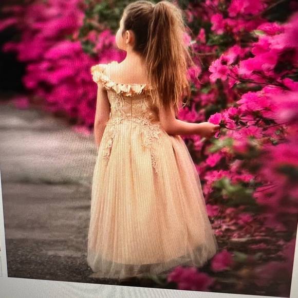 Trish Scully Belle Gown - Picture 4 of 8